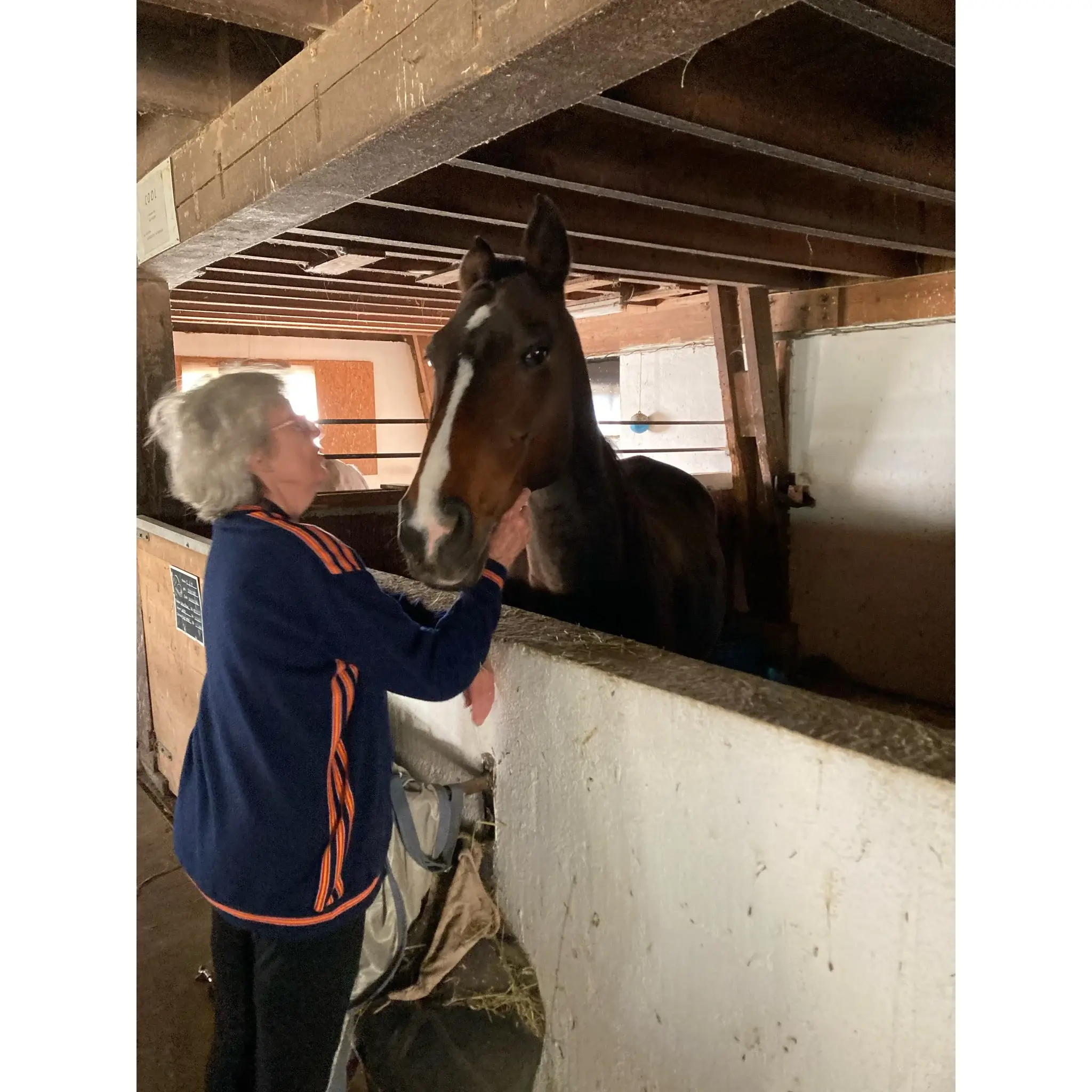 Häusliche Unterstützung und Haushaltsführung